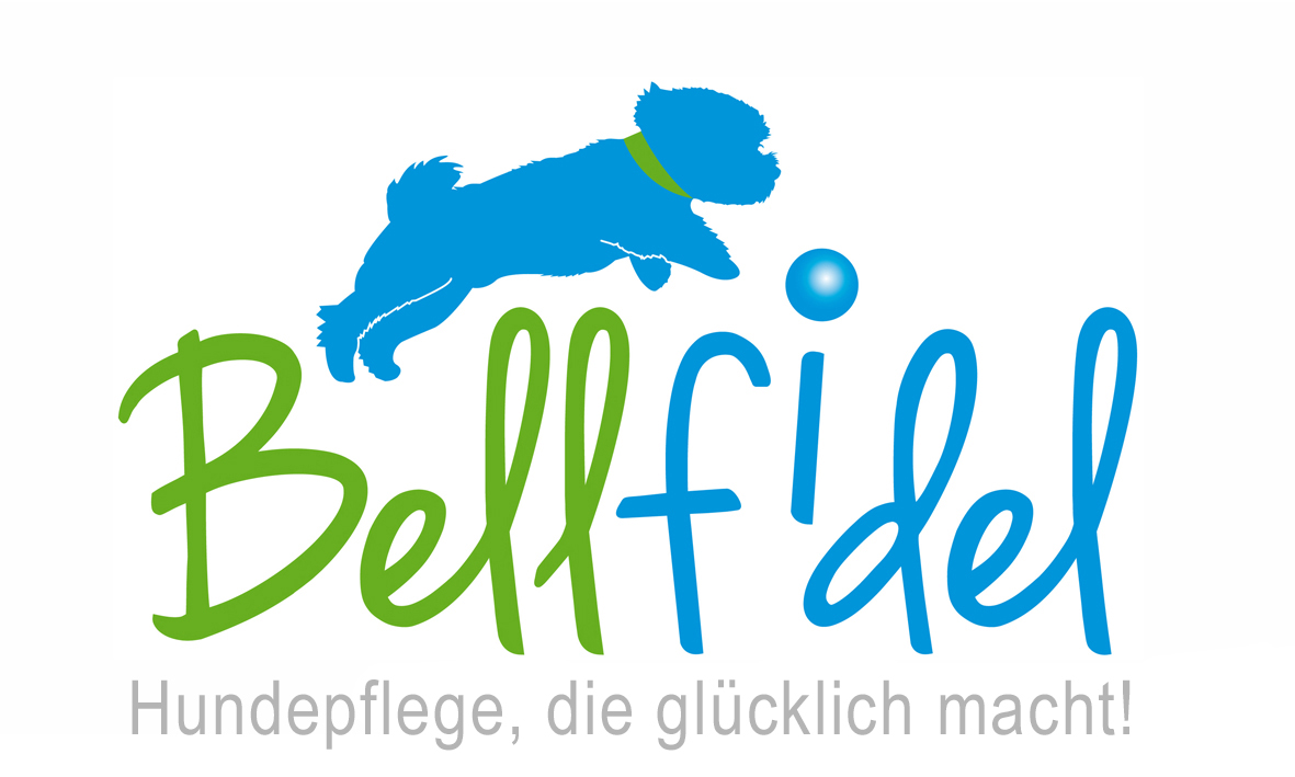 Scherköpfe & Aufsteckkämme | Scheren & Schermaschinen | Bellfidel Onlineshop
