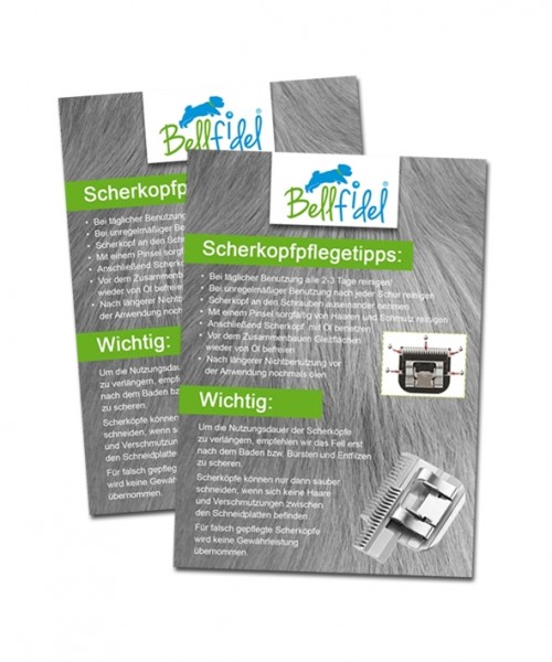 Flyer: Scherkopf-Pflegetipps von Bellfidel